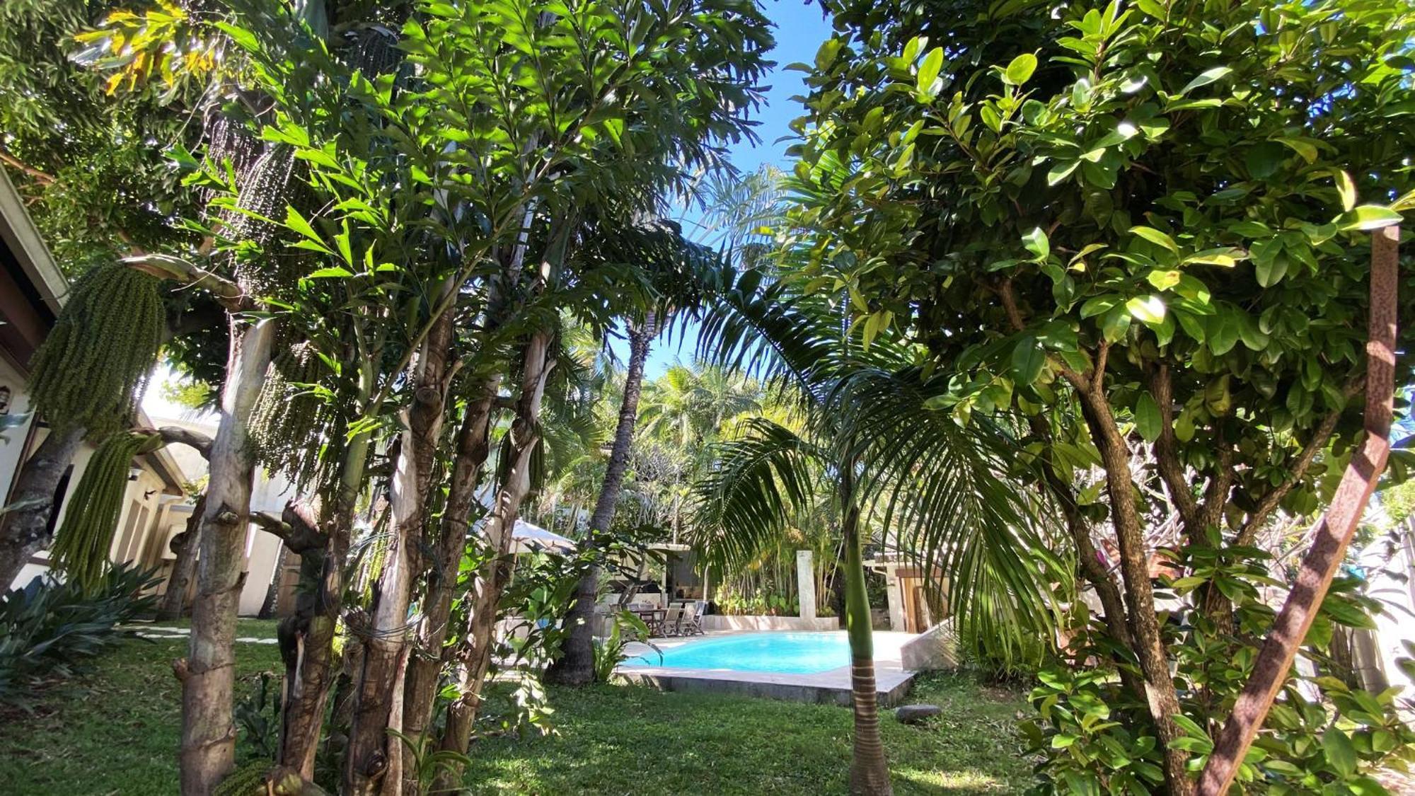 Coliver - Coliving A La Reunion Сен-Пьер Экстерьер фото